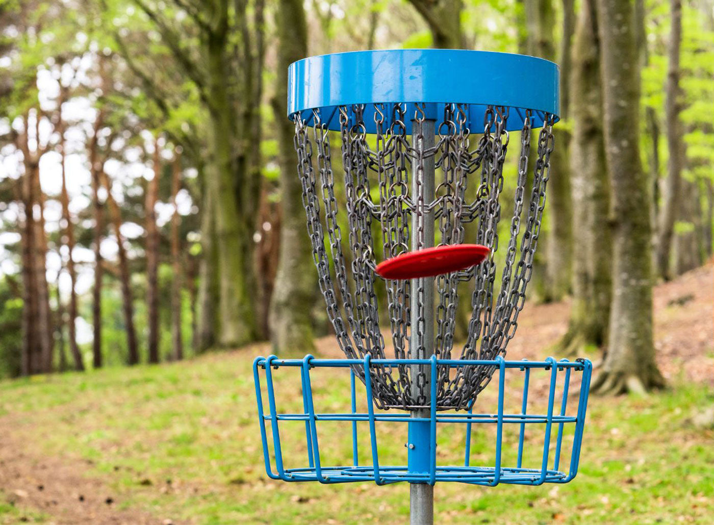 DiscGolf
