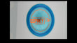 Ken Climo Disc Golf Victory Line Osprey Distance Driver