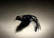 Copper Red Baits Ripple Frog  2 Inch 1/4