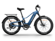 Himiway D5 2.0  Fat Tire All Terrain E-Bike