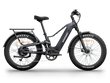 Himiway D5 2.0  Fat Tire All Terrain E-Bike