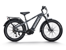 Himiway D5 Zebra Pro All Terrain Fat Electric Bike