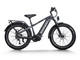 Himiway D5 Zebra Pro All Terrain Fat Electric Bike
