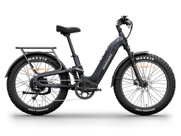 Himiway D5 2.0  Step-Thru Fat Tire All Terrain E-Bike