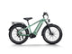 Himiway D5 Zebra Pro All Terrain Fat Electric Bike