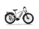Himiway D5 Zebra Pro All Terrain Fat Electric Bike