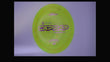 Discraft 2026 Paul Ulibarri Z Confetti Captain's Raptor