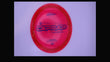 Discraft 2026 Paul Ulibarri Z Confetti Captain's Raptor