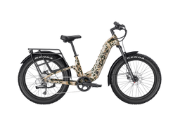 N2X_ST_multicam_3