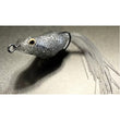 Stranded%20Shad-800x800