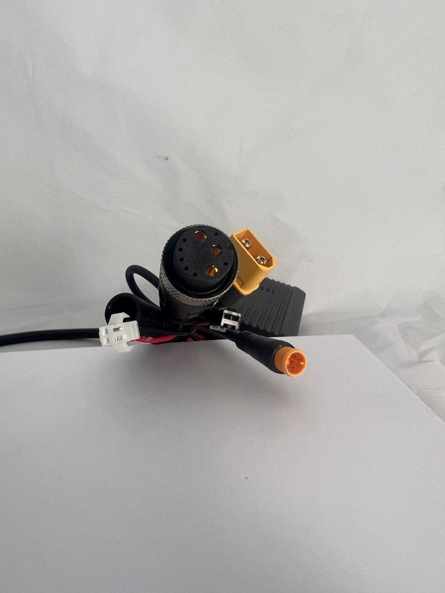 thumbnail_IMG_8038_2022MBF1