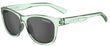 Tifosi Optics Swank Sunglasses